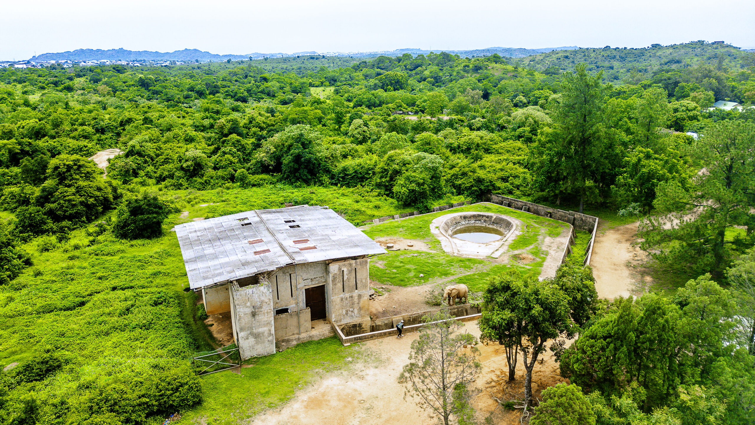 DJI_0369