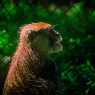 Jos Wildlife Park